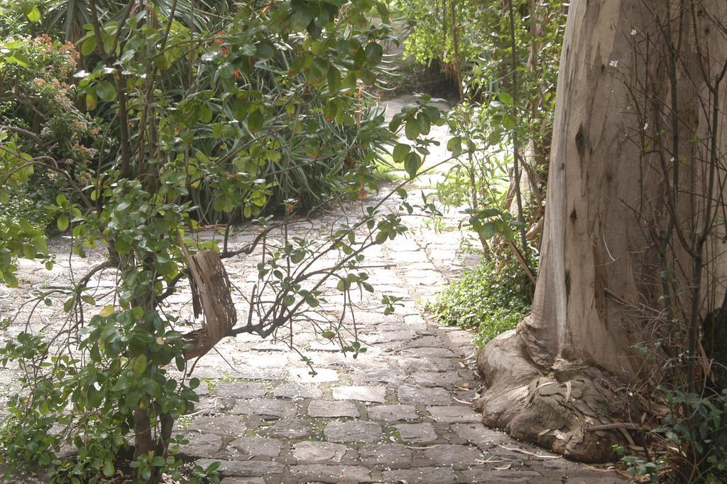 Hotel Acacias De Vitacura سانتياغو المظهر الخارجي الصورة